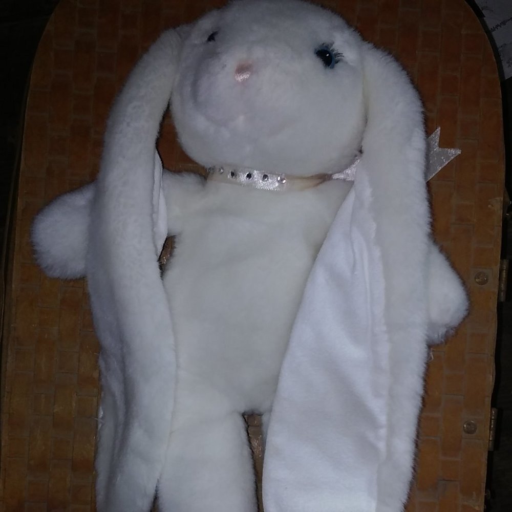 bunny rabbit - Picture 1 of 1